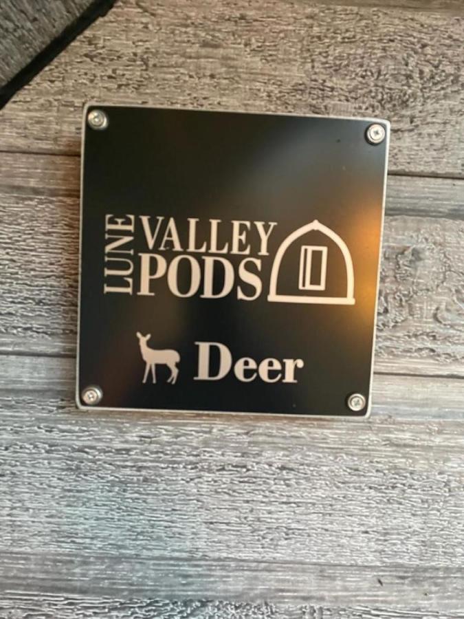 Apartament Glamping Pods Milngavie Zewnętrze zdjęcie